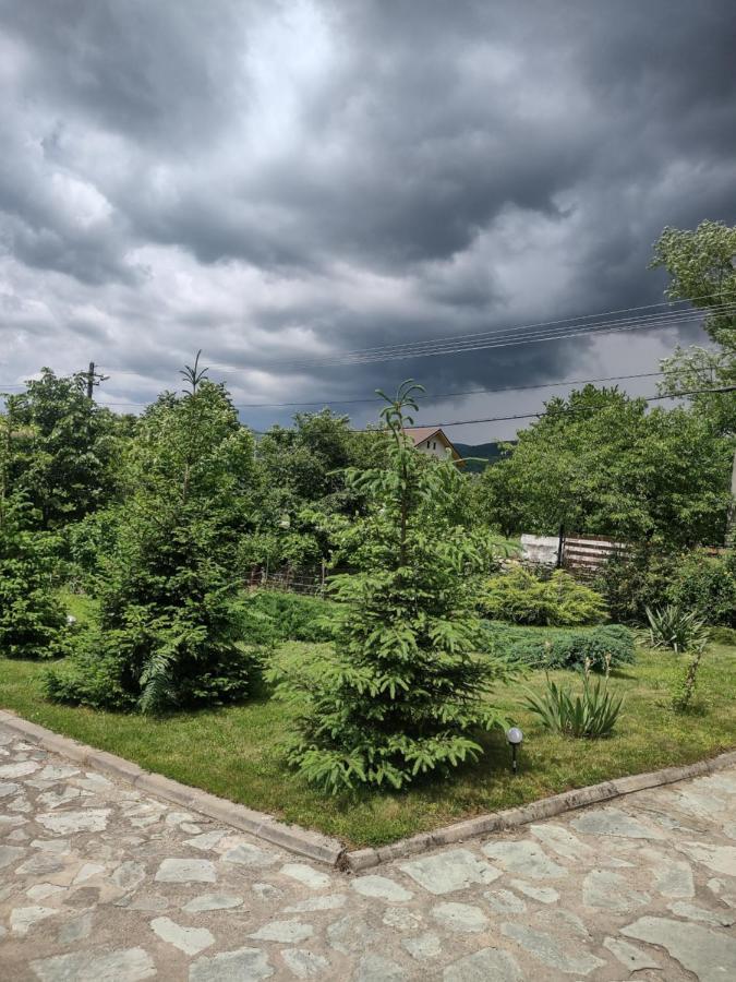 Pensiunea Codruta Cărpinişu Zewnętrze zdjęcie