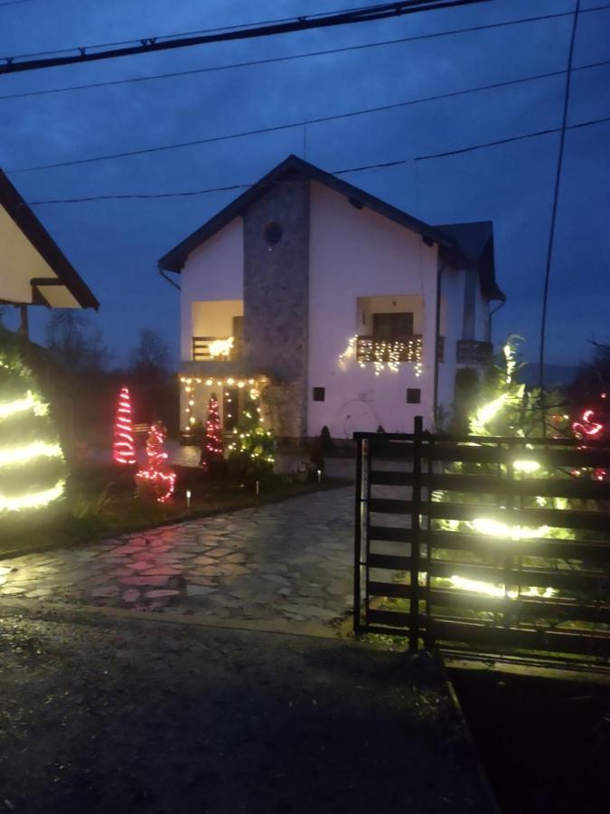 Pensiunea Codruta Cărpinişu Zewnętrze zdjęcie