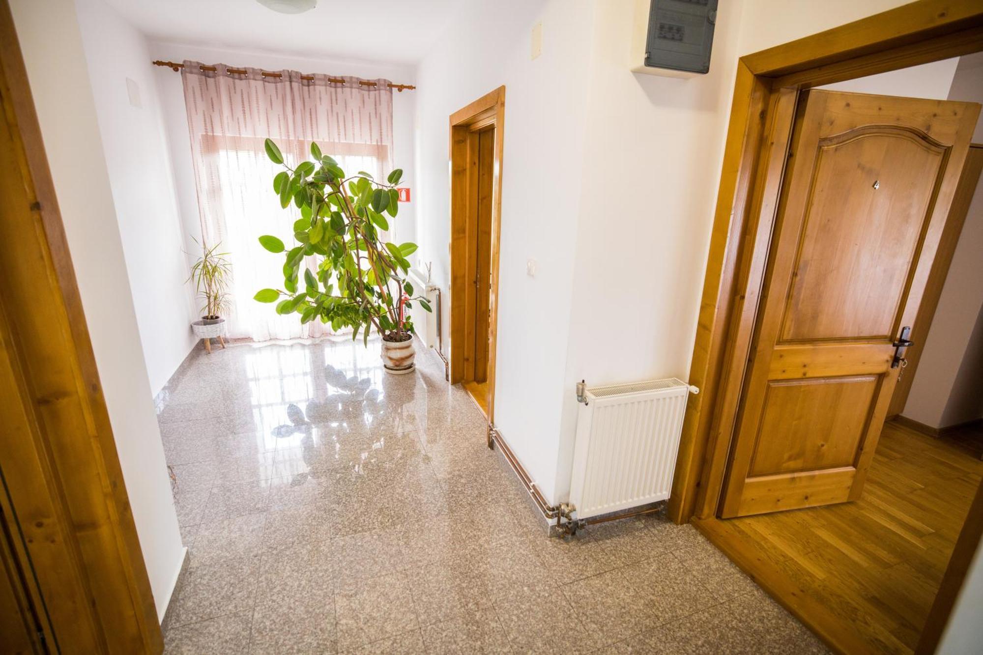 Pensiunea Codruta Cărpinişu Zewnętrze zdjęcie