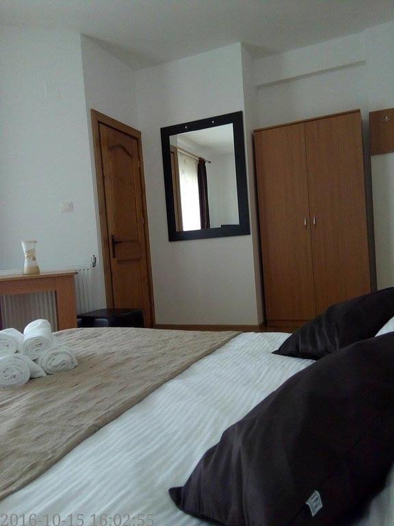 Pensiunea Codruta Cărpinişu Zewnętrze zdjęcie