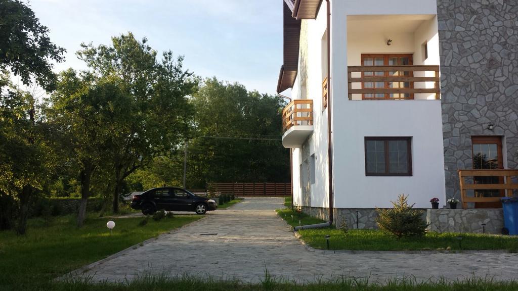 Pensiunea Codruta Cărpinişu Zewnętrze zdjęcie