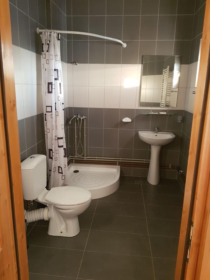 Pensiunea Codruta Cărpinişu Zewnętrze zdjęcie